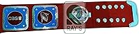 Vista 5 de RAY'S Television Heavyweight Wrestling Champion Replica Cinturón Tamaño Adulto.