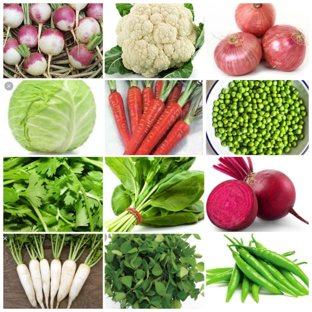 GARDECO Organic Vegetable Seeds For Gardening 10 Variety Of WINTER Green Vegetables Seeds For Terrace Garden (HYBRID) (B0BBBKG14G) Amazon Price History, Amazon Price Tracker