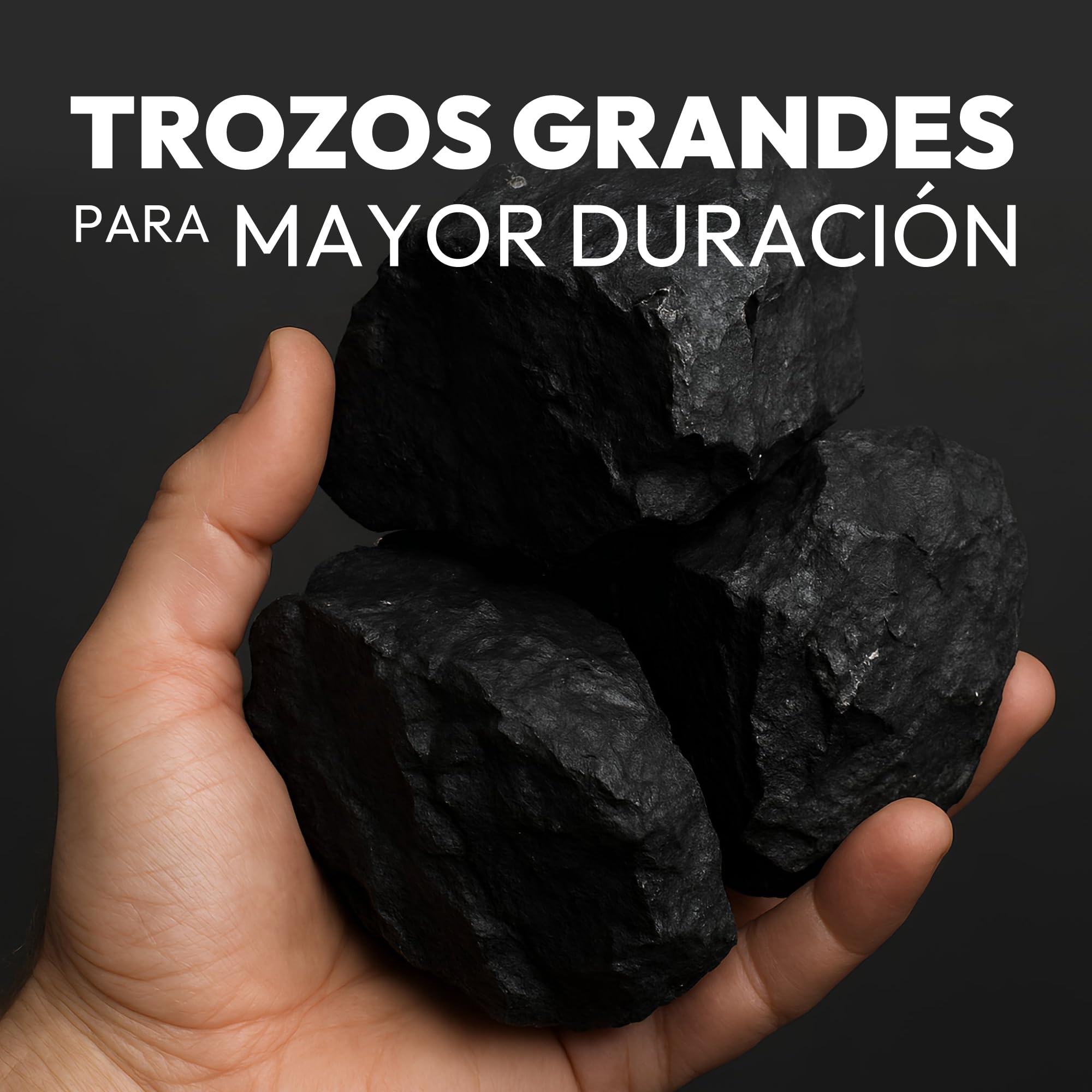 Carbón Vegetal Natural 10 kg para Barbacoas Alto Poder Calorífico Encendido Rápido Brasas Duraderas Trozos Grandes Bajo Humo Ideal para Parrillas y Asados
