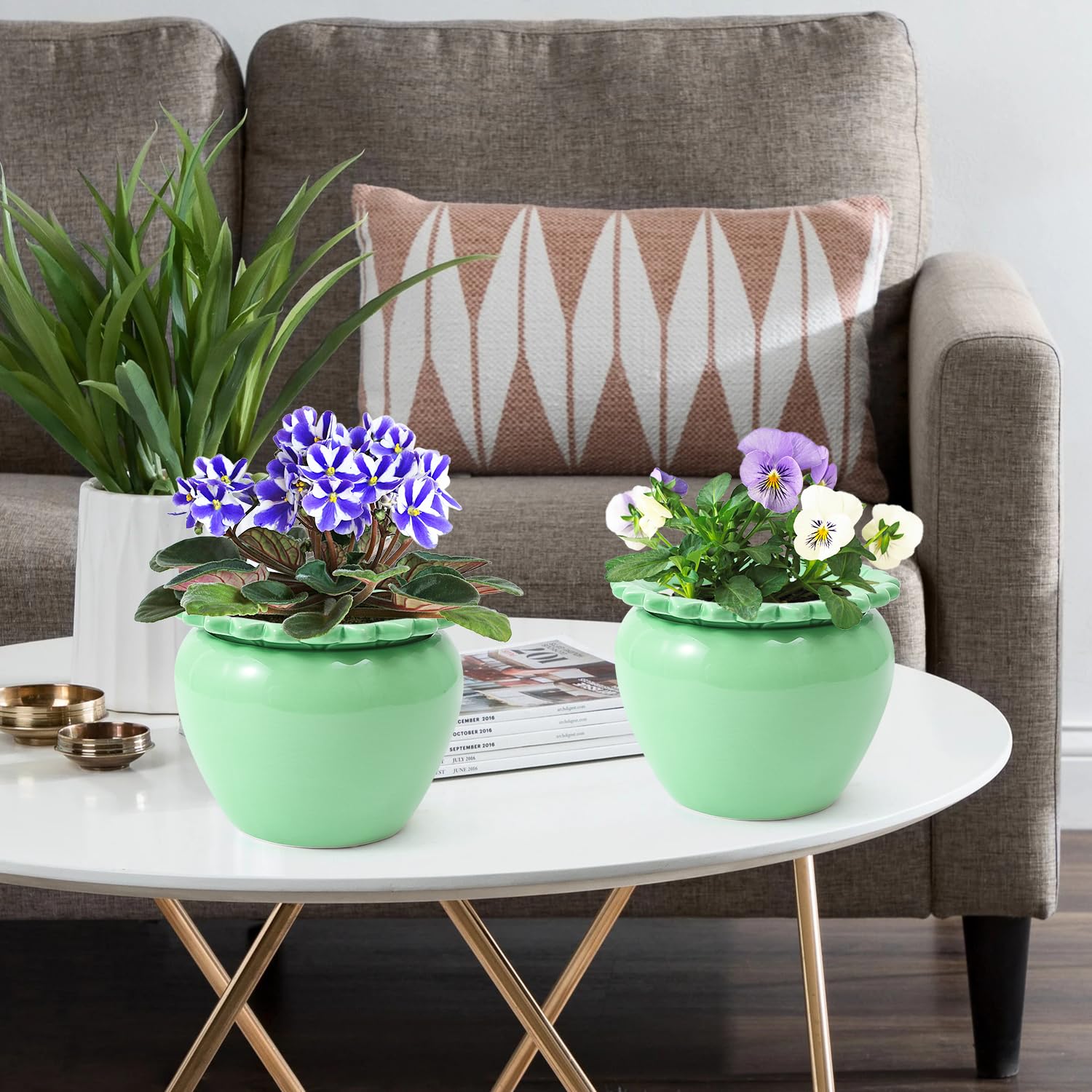 Amazon.com : Tbpro Self Watering Plant African Violet Flower Pot