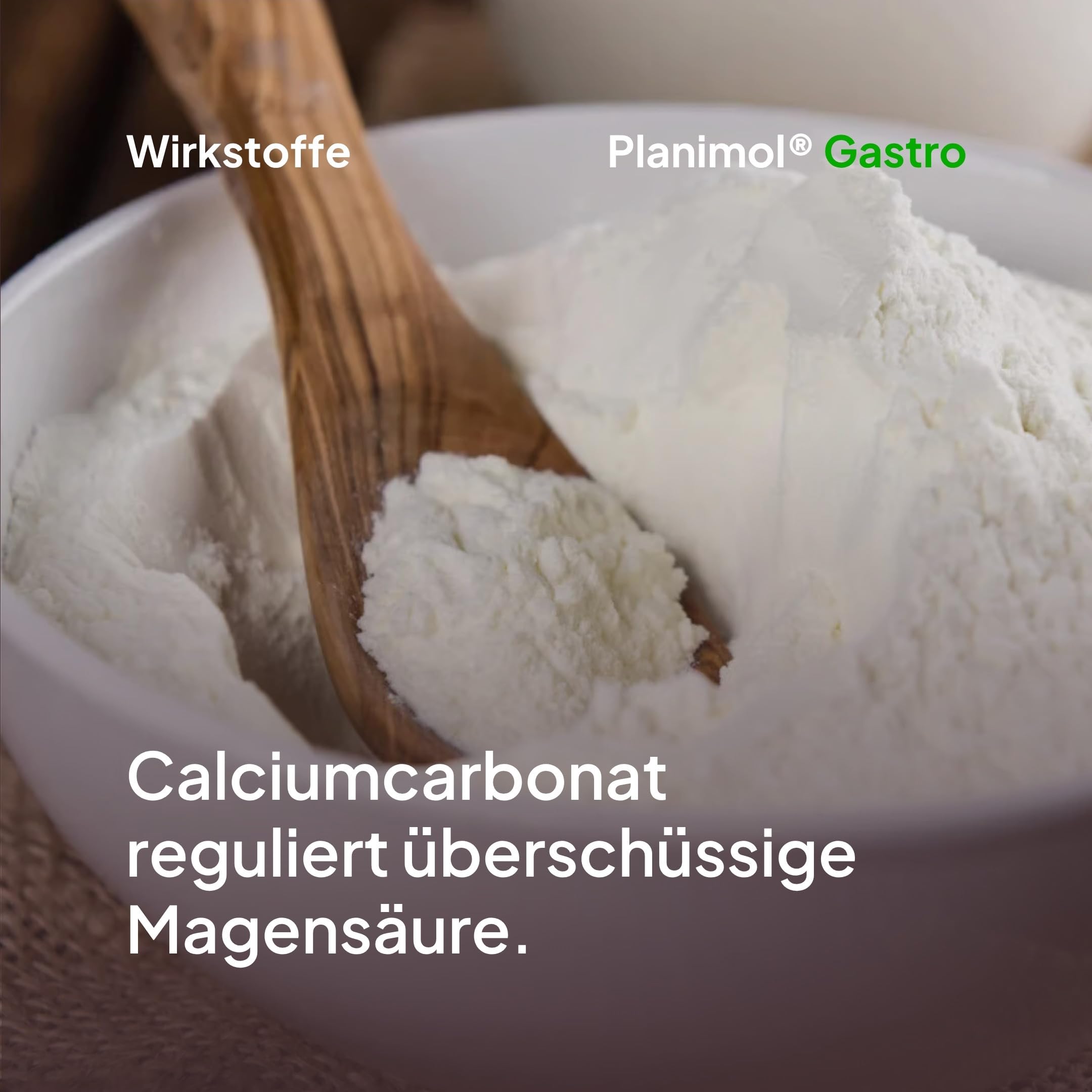 Gastro — Magensnack für Hunde — 100% natürlich — unterstützt bei empfindlichem Magen — unterstützt Magenschleimhaut & Säurebalance — 90 Tabletten