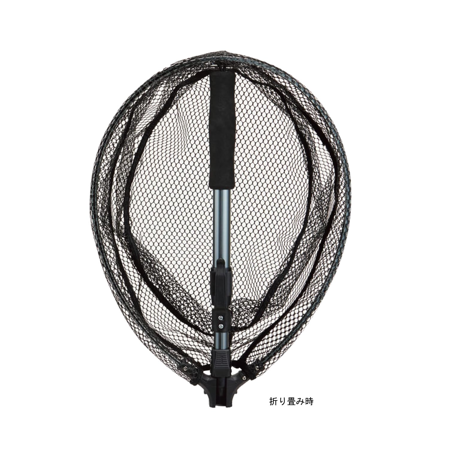 Amazon | ダイトウブク（Daitou） 2046 ライディング