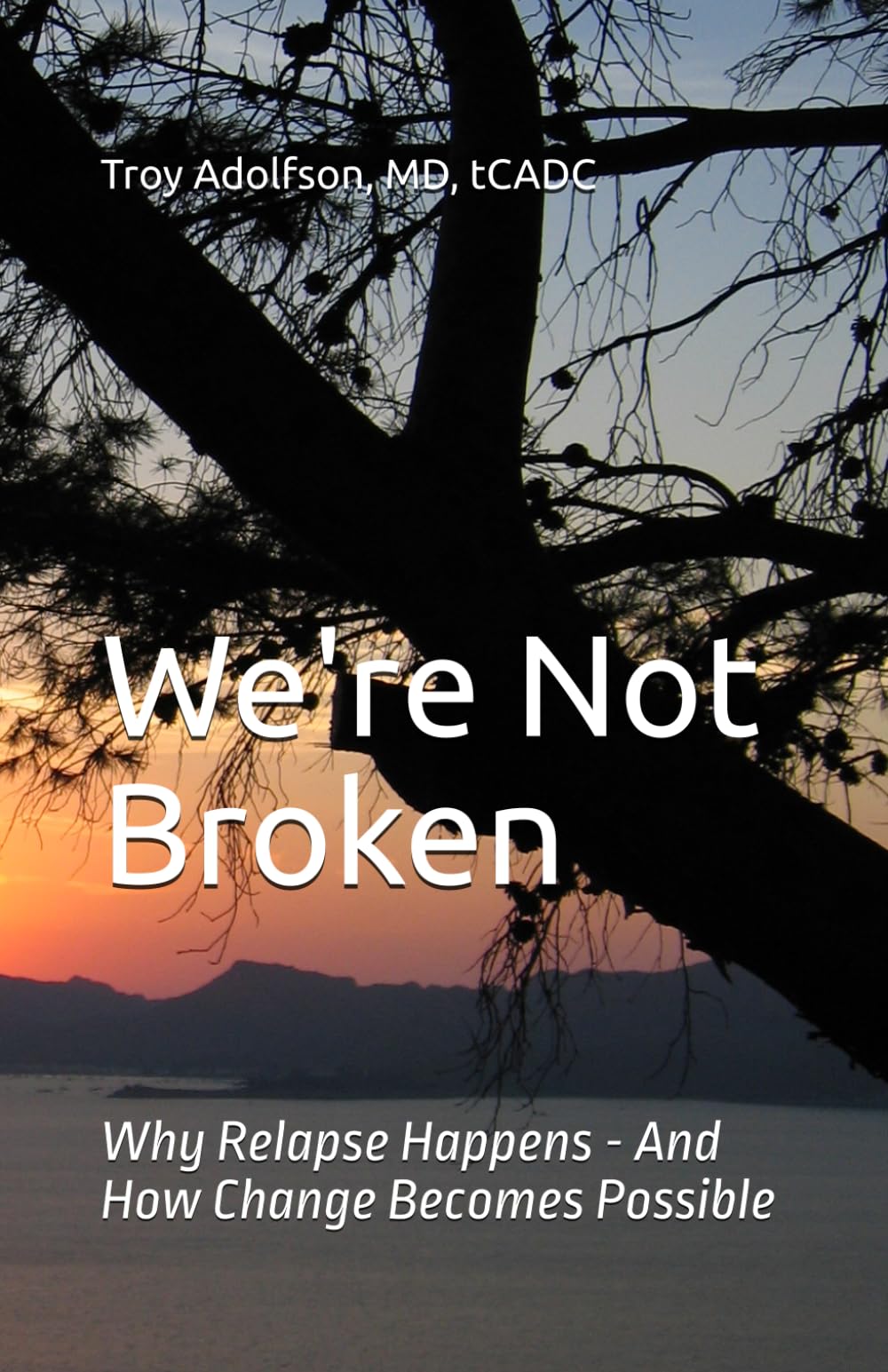 We're Not Broken: Why Relapse Happens - And How Change Becomes Possible