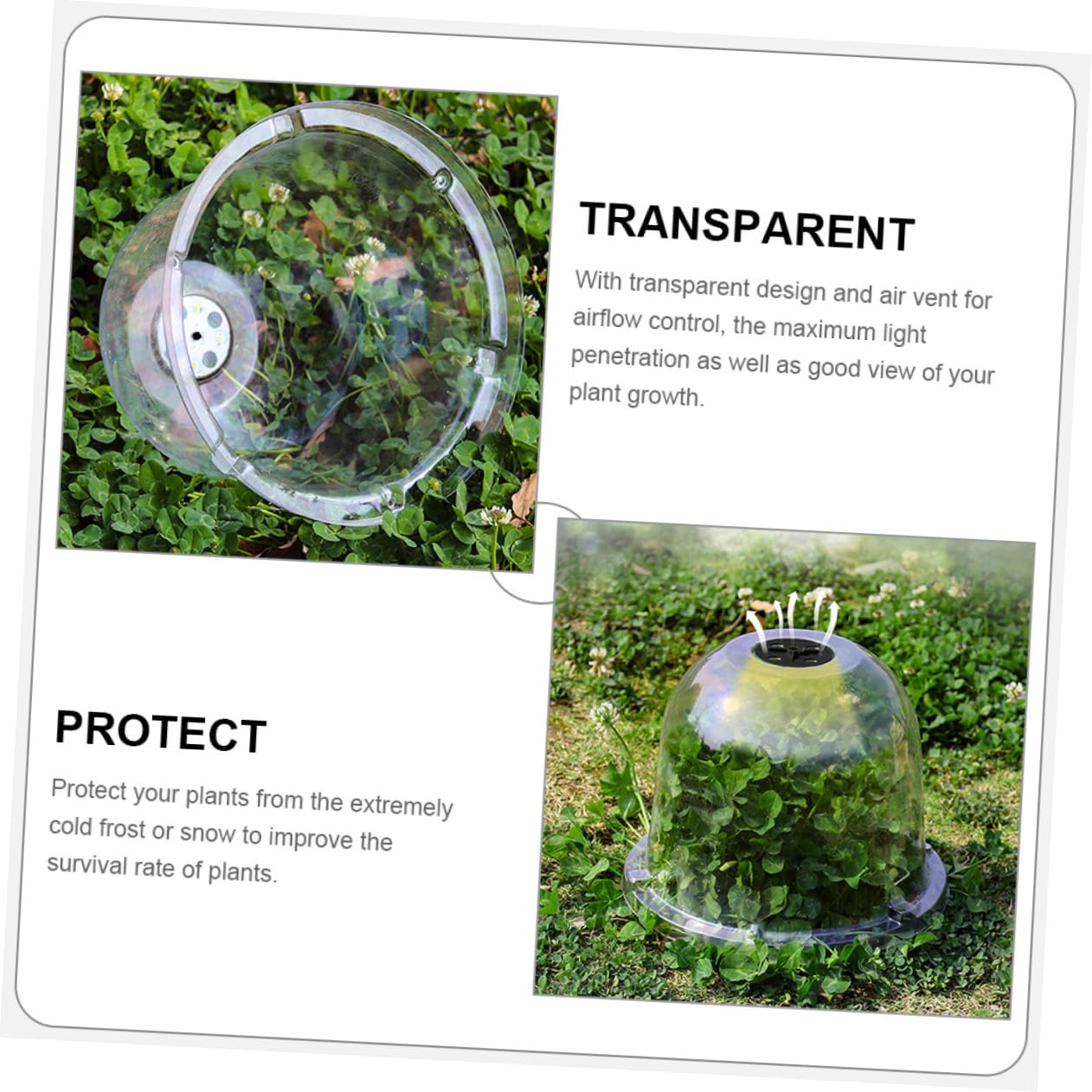 Toyvian 6 Pièces Cloche de Jardin Transparente Protection Gel Froid pour Plantes Fleurs Couverture de Culture Réutilisable pour Jardinage à Projets Paysagers