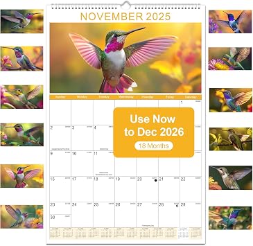 Gannyfer 2026 Wall Calendar,18 Months 22.75" x 15.5" Calendar 2025-2026, Use Now to DEC 2026, Spiral Binding Cute Hummingbird 2026 Calendar,Perfect for Home,School or Office 6 Stickers Included