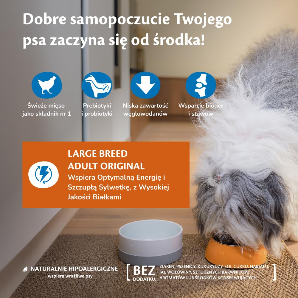 Wellness CORE Original 10 kg, Kurczak – Sucha Karma dla Psów Dużych Ras, Bezzbożowa, Naturalna, Hipoalergiczna, Bogata w Białko, o Wysoka Zawartość Mięsa, Wspiera Optymalną Energię i Szczupłą Sylwetkę