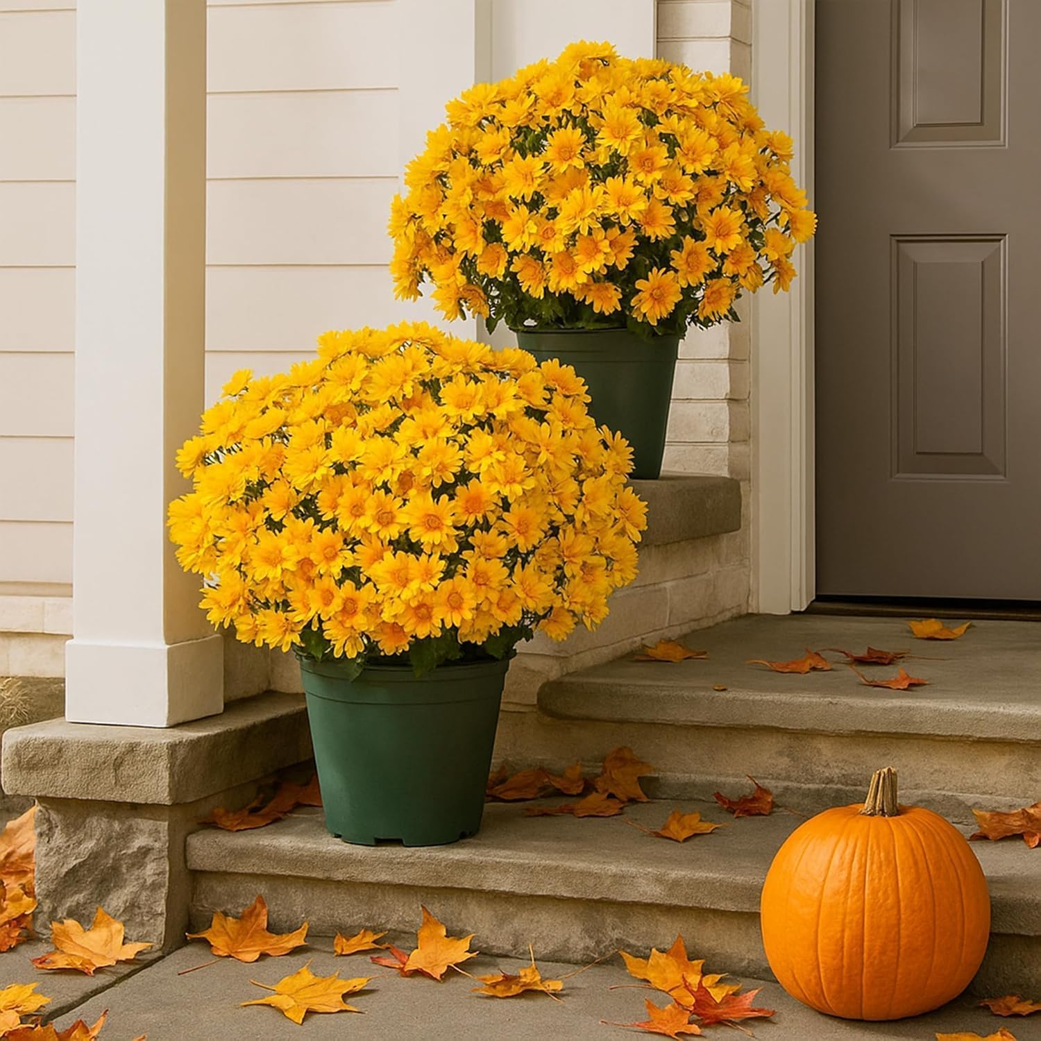 5PCS Funsdecor Artificial Sunset Mums, Waterproof & Windproof Fake Flowers for Outdoor Fall Decor, Realistic Daisy with Eucalyptus, Full & Vibrant Look (Yellow) - Image 2