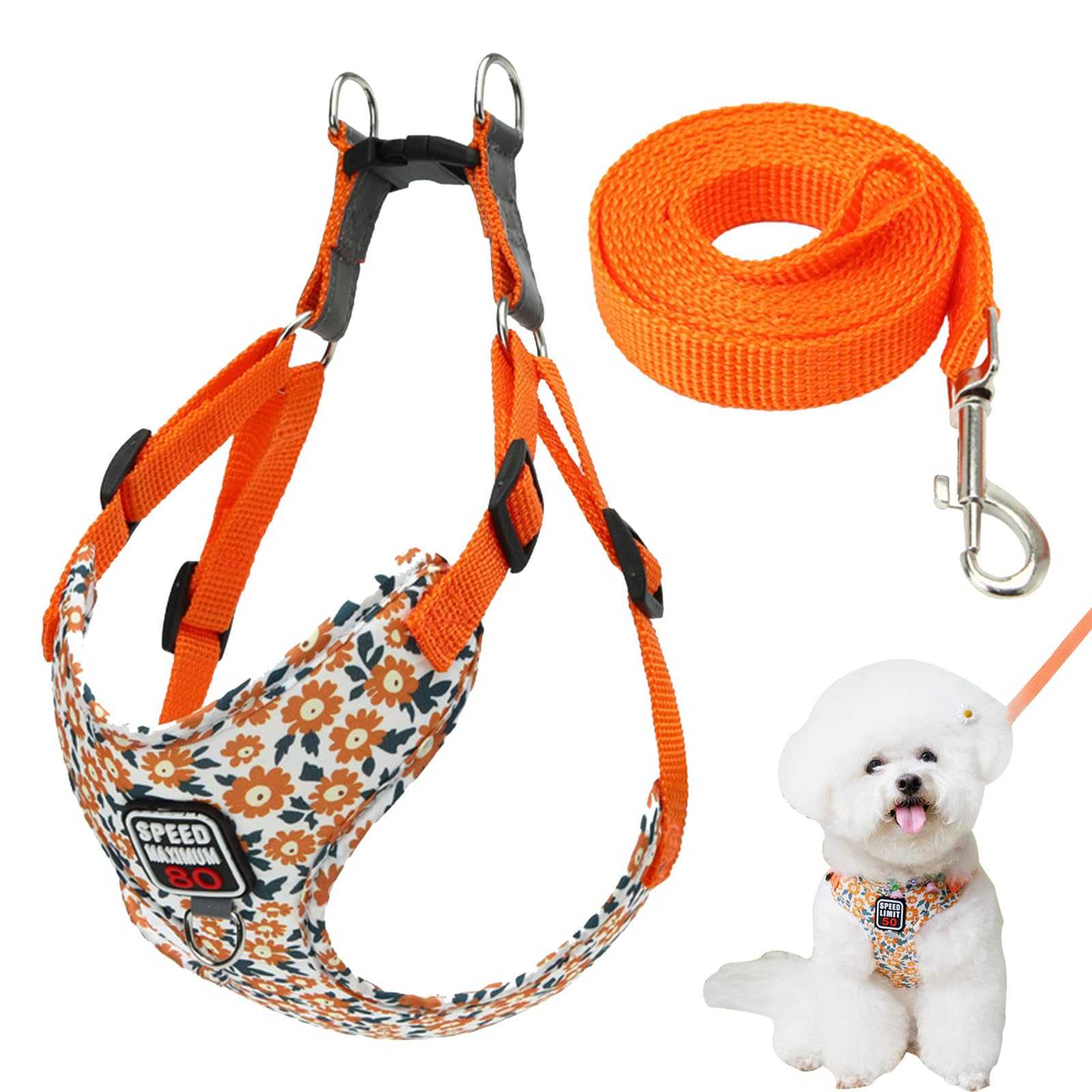 FOSDICK Dog Harness and Lead Set, Step-in Adjustable Puppy Harness, Soft and Breathable Dog Harnesses