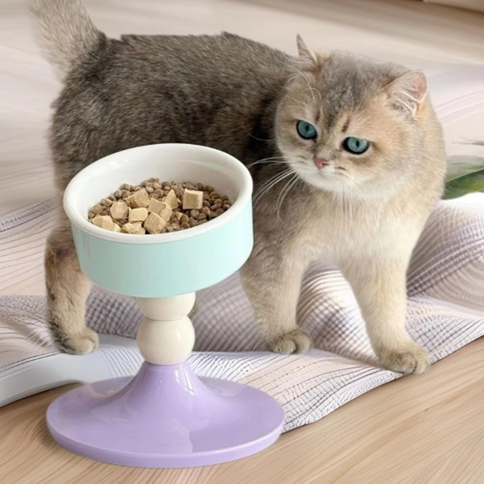 Regolazione ' altezza Ciotola per gatti Ciotola per alimentazione inclinata Base antiscivolo Mangiatoia per animali domestici ergonomica per cani piccola taglia e alimentazione cibo
