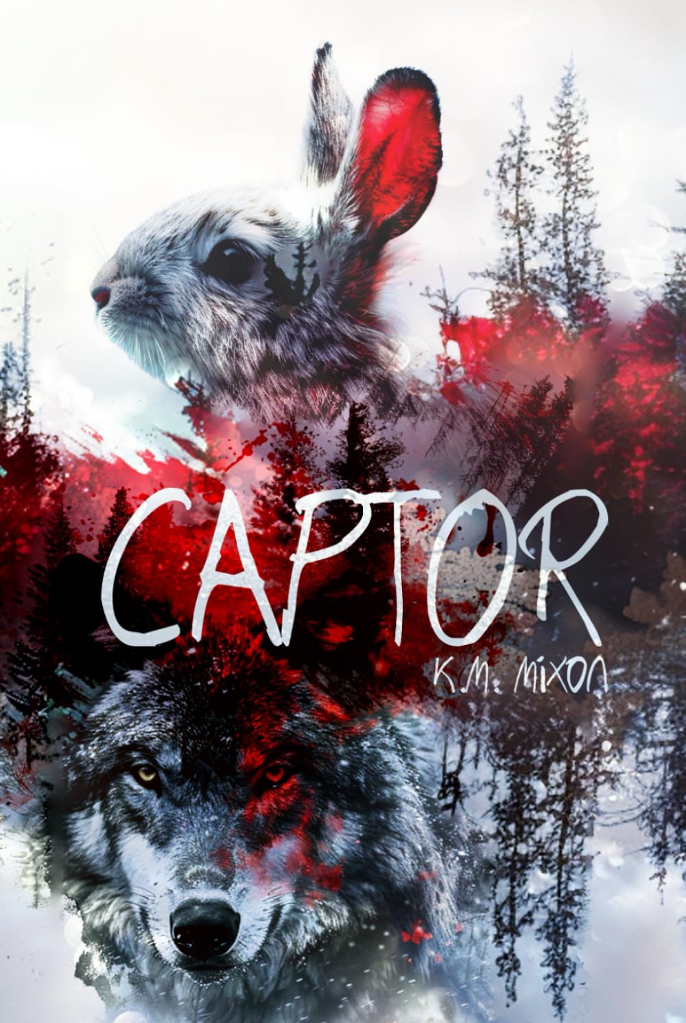 Captor: DIGITALLY SIGNED EDITION (The New York Crime Families: A Dark Mafia Romance Series)