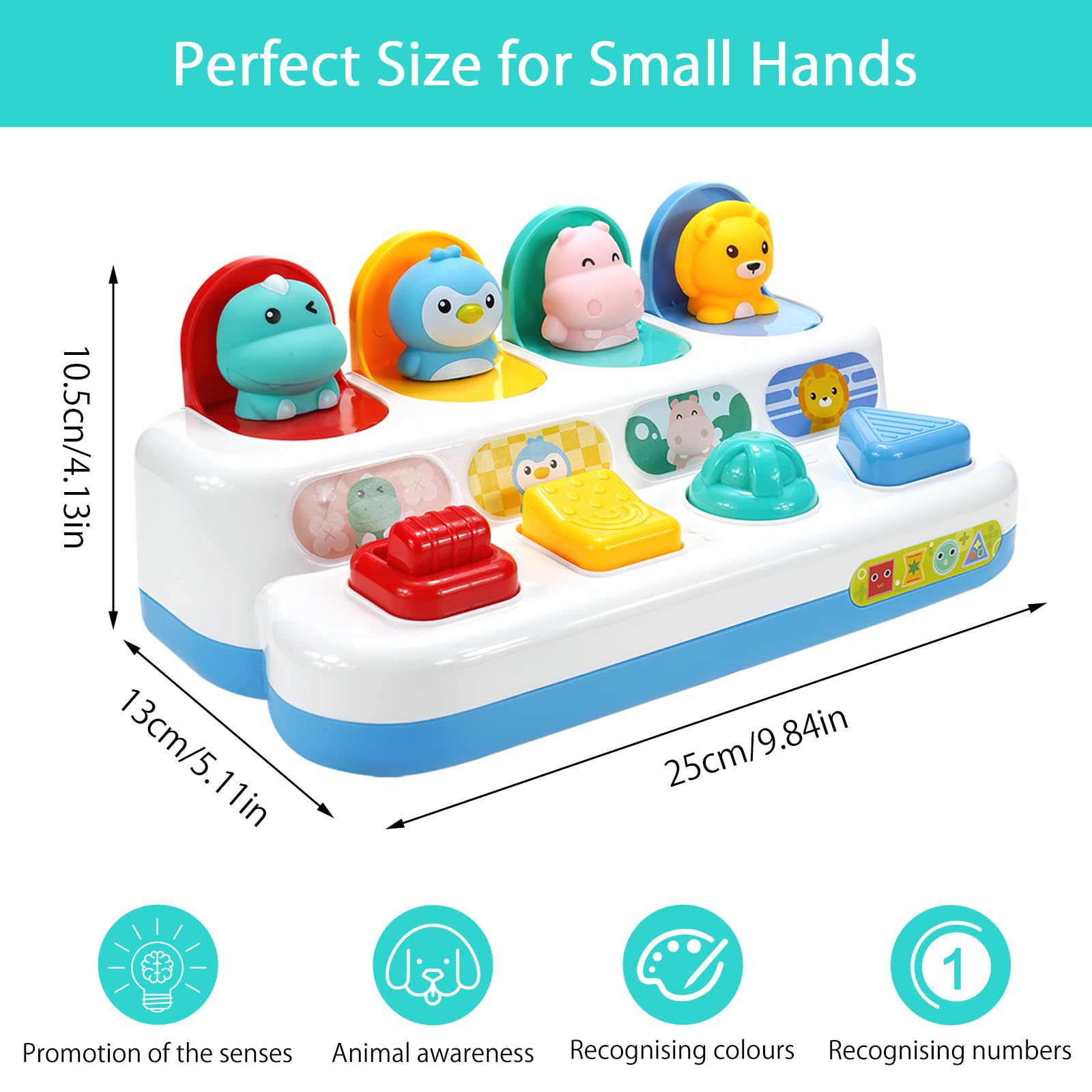Pop up Baby Zabawka od 12 miesięcy, Montessori Zabawka od 1 roku Zabawka motoryczna od 6 miesięcy Wczesny rozwój Przyczyna & skutek Zabawka edukacyjna Niemowlęce prezenty na Wielkanoc Chłopiec