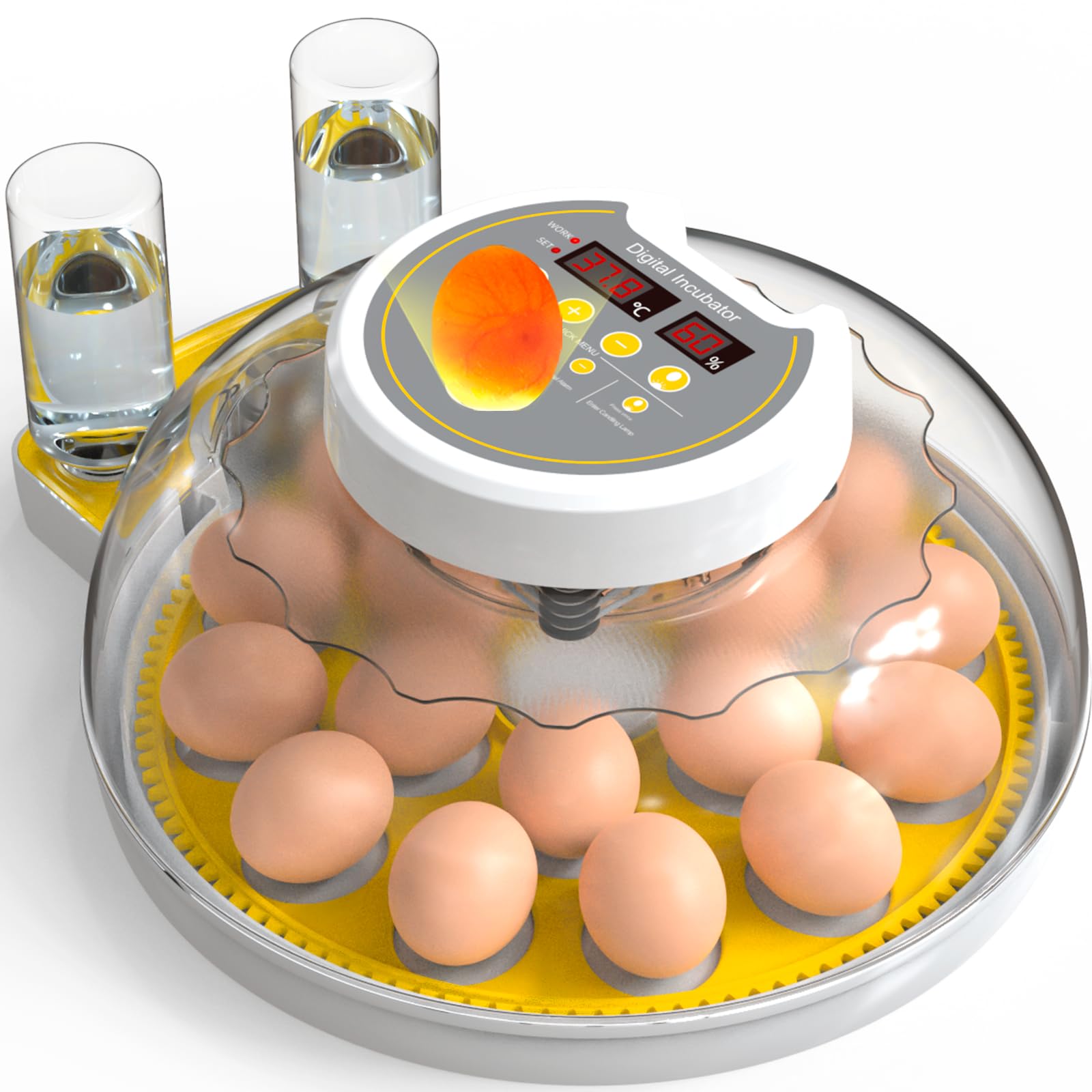 Amazon.com: DEZHXHE 18/60 Incubator for Hatching Eggs, Egg