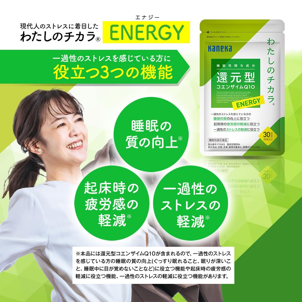 カネカ　還元型　コエンザイム　Q10 ENERGY 90日分 わたしのチカラ ENERGY 還元型コエンザイムQ10 ninety粒