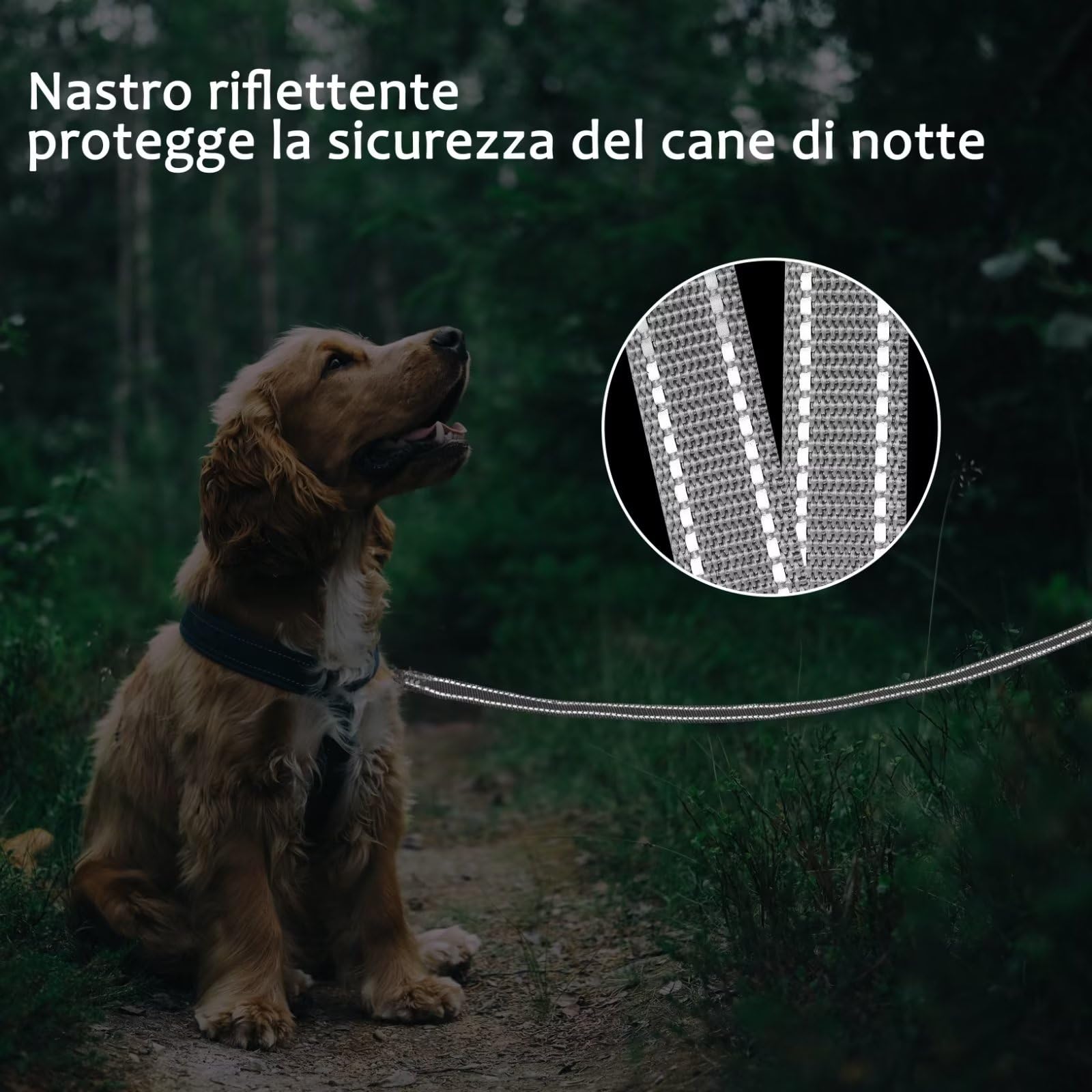 COMSLE Guinzaglio Addestramento per Cani, Lunghina per Cane Cani 3 metri / 5 metri / 10 metri / 15metri / 20metri con Gancio Robusto e Manico Imbotita, Guinzaglio per Cani Piccola e Taglia Grande