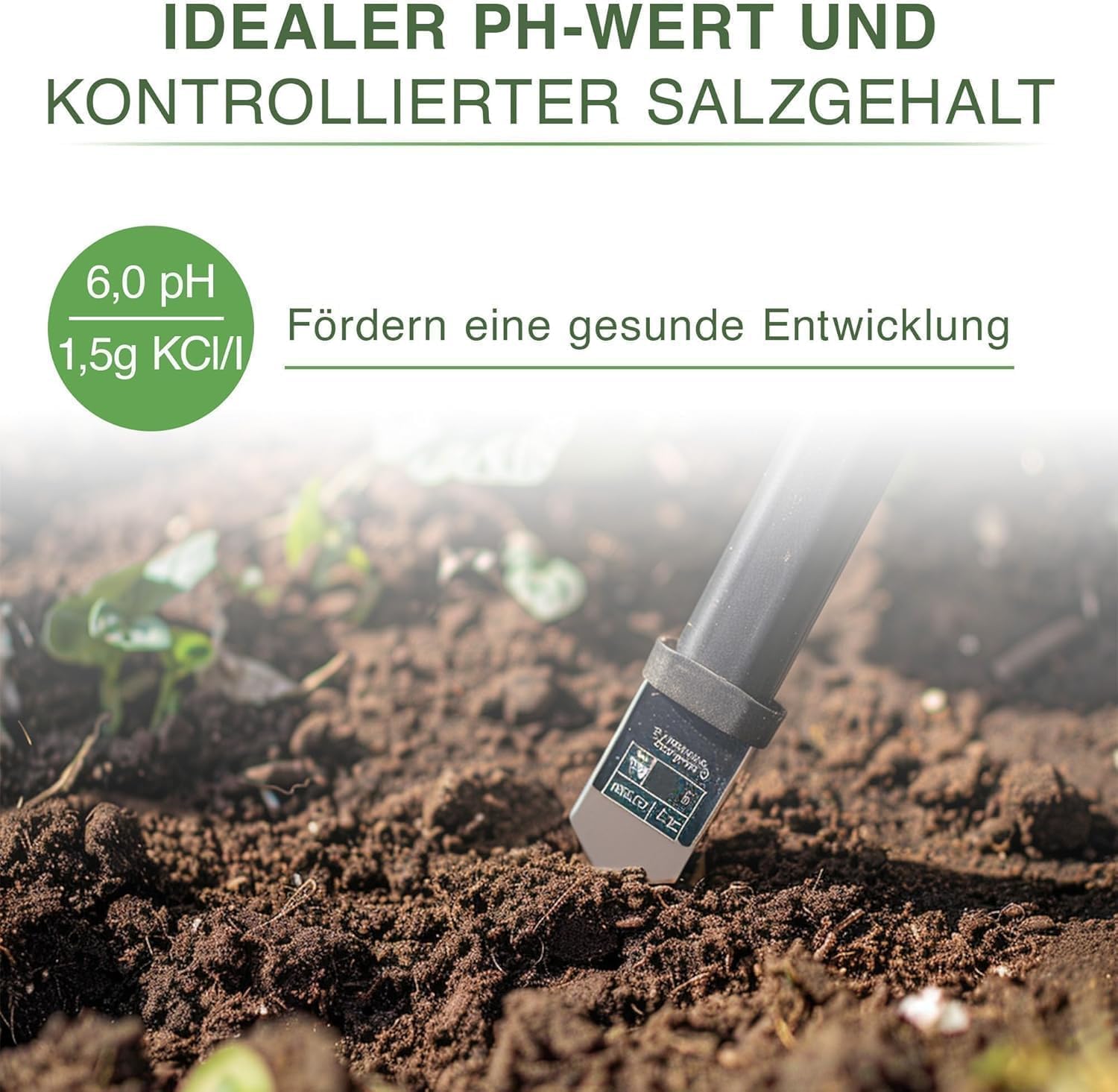 Grow Erde Anzuchterde Professional 160L, Perfekte Pflanzerde für gesundes & kräftiges Wachstum - Kultursubstrat mit Perlite, NPK und Mikroorganismen, optimaler pH-Wert 6,0 für Starke Wurzelbildung