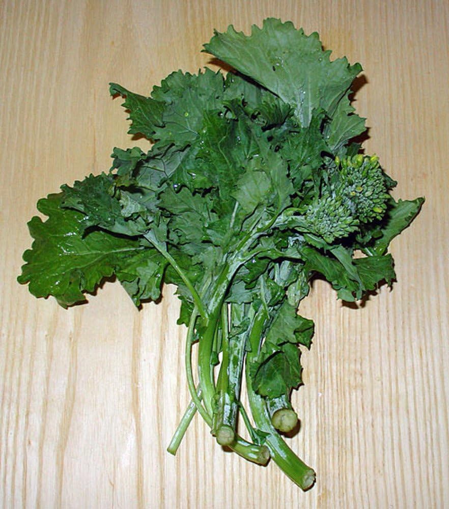 Brassica Rapa, Broccoli Raab (Cima di Rapa), 2.5g approx 1000 seeds, untreated