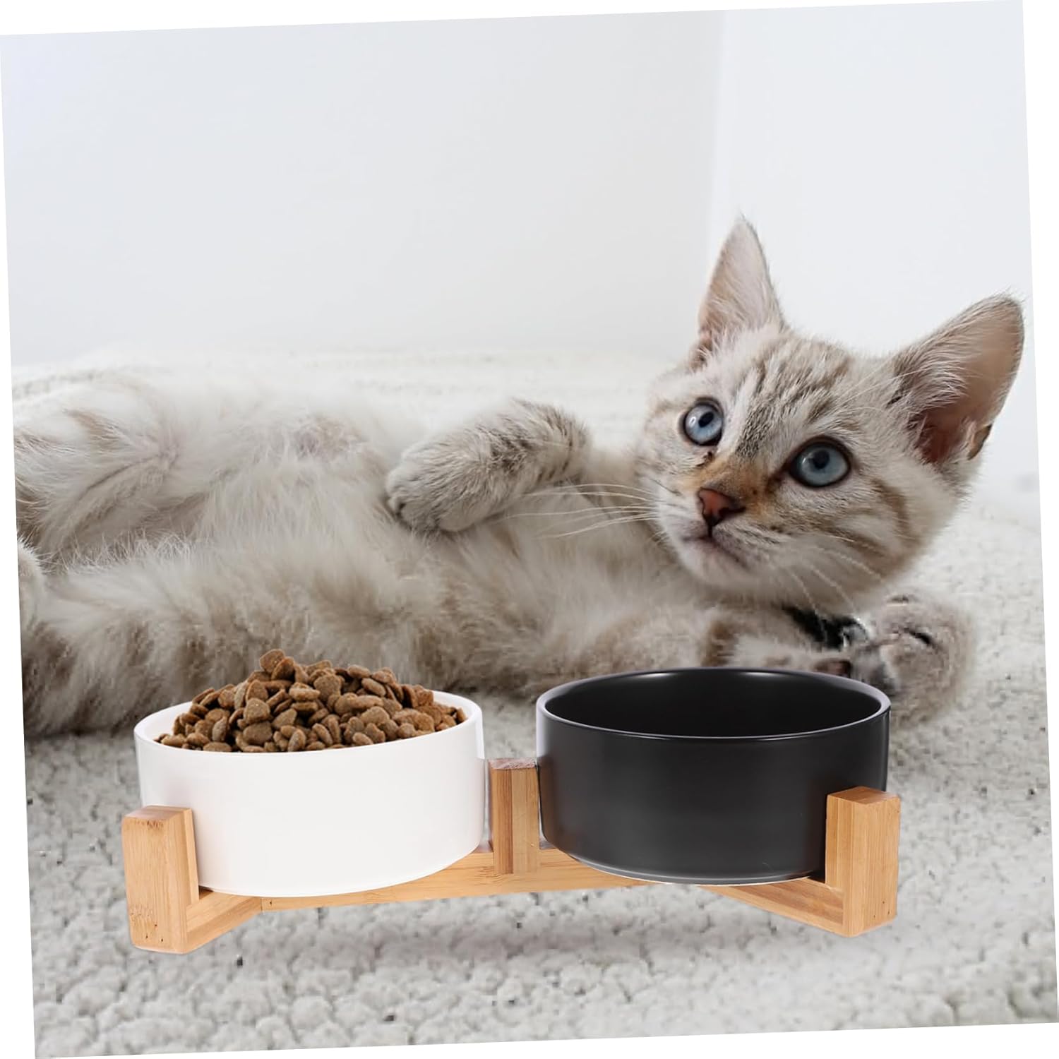 1set Ceramic Raised Dog Bowl Non- Wooden Stand Dual Pet Food and Water Dish for Cats and Dogs Medium Easy Feeding for Healthy Meals