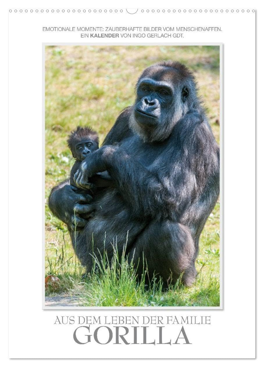 Emotionale Momente: Aus dem Leben der Familie Gorilla. (Wandkalender 2026 DIN A2 hoch), CALVENDO Monatskalender: Zauberhafte Bilder von unserem ... von Ingo Gerlach GDT. (CALVENDO Tiere)