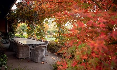 Stonefields by the Seasons