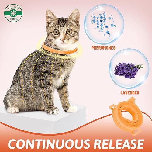 Miniatura 4 de VICSOM Collar calmante para gato, collar calmante de gato luminoso, collar calmante de feromonas para gatos, impermeable, alivio de la ansiedad,