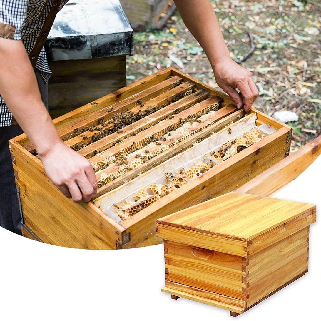 Flow Frames – Half-Size (Japan) - Flow Hive US 10枠 蜂ハイブ 煮蝋 養蜂箱 ミツバチ 巣箱 蜂蜜蜂の箱 ハチミツの家 蜜蝋 養蜂器具 換気 防水 防湿 防虫 杉材 蜜蜂巣箱，養