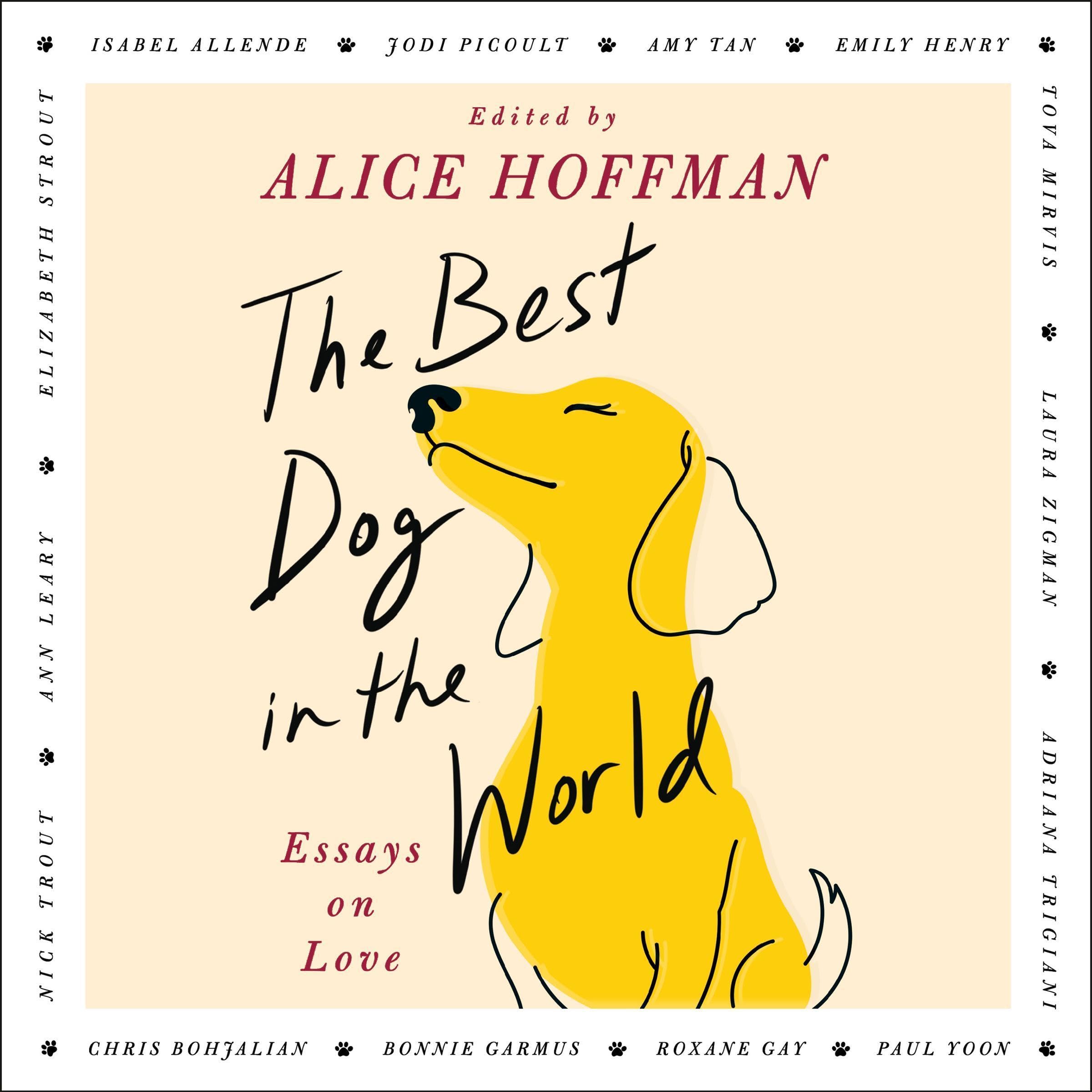 Cover art for The Best Dog in the World
