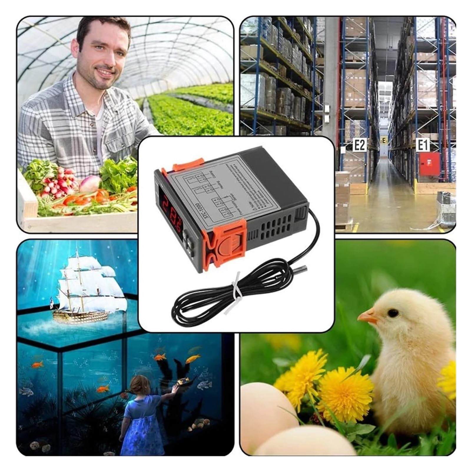 Smart STC-1000 Regolatore di temperatura LED Termostato digitale Termoregolatore Incubatore Relè Riscaldamento e raffreddamento 12 V 220 V