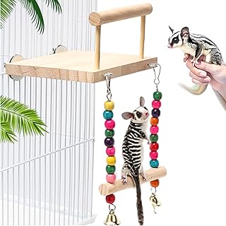 Hedgehog Swing Toy Jumping Platform Chewing Apple Wood Swing Squirrel Sugar Glider Flying Squirrel Parrot Ring Cage Climbing Supplies (1Pcs)