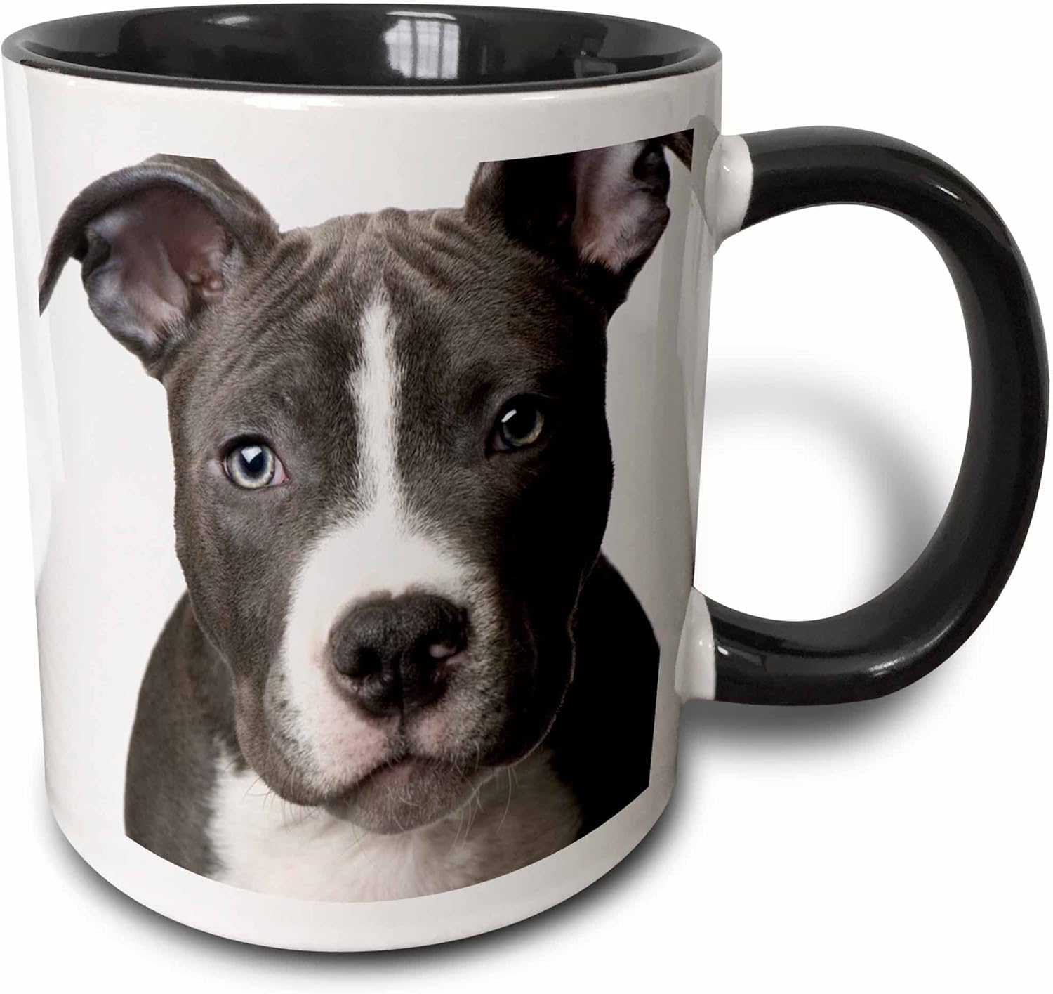 3dRose (mug_4240_4) American Pit Bull Terrier Puppy - Two Tone Black Mug, 11oz