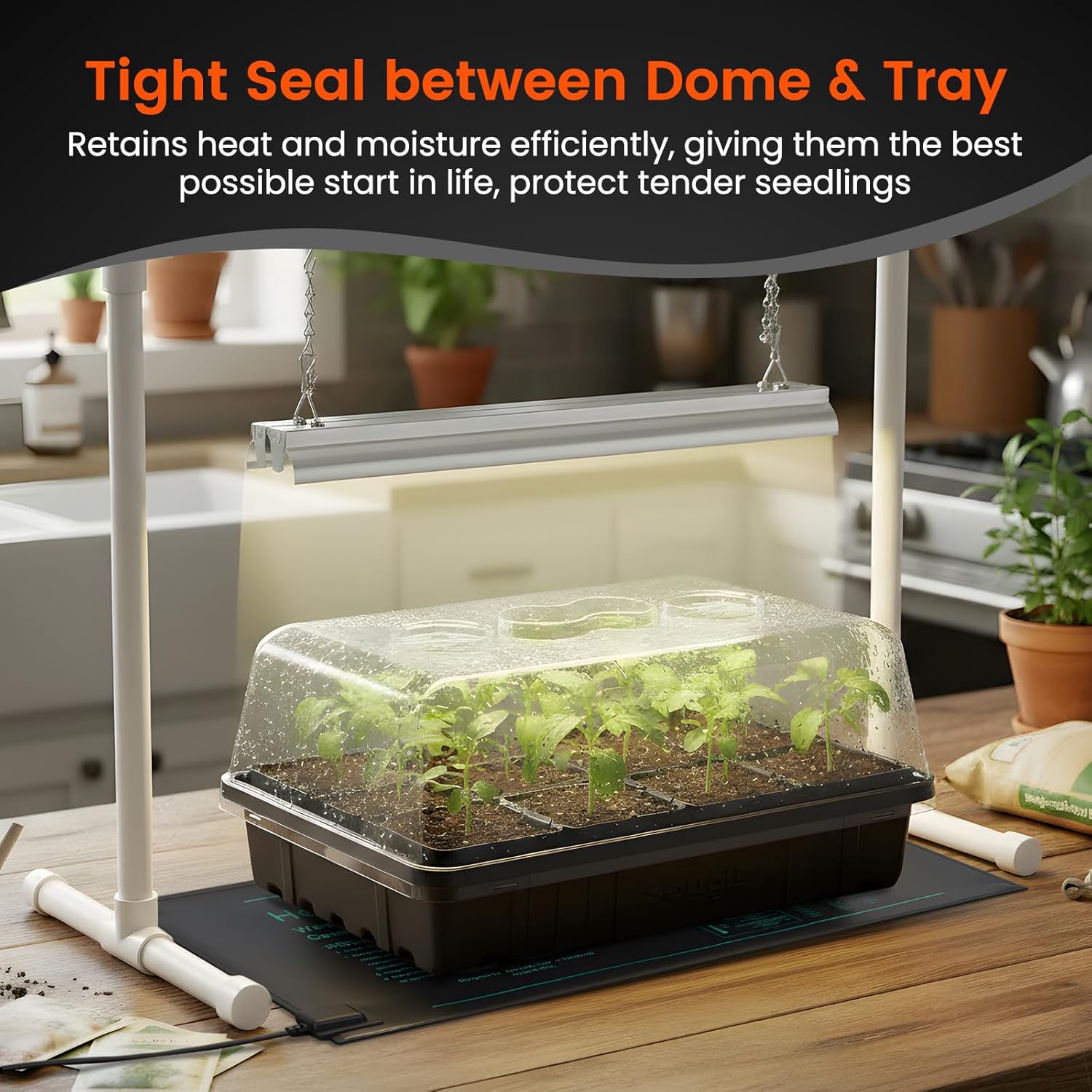 SOLIGT [Thick Plastic] 3-Set Strong Seed Starter Trays with 5" Humidity Domes for Seed Starting, Germination, Seedling Propagation & Plant Growing, Holds 144 Cells in Total - Image 4