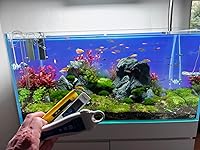 Review Image by Matt W. Matt W.