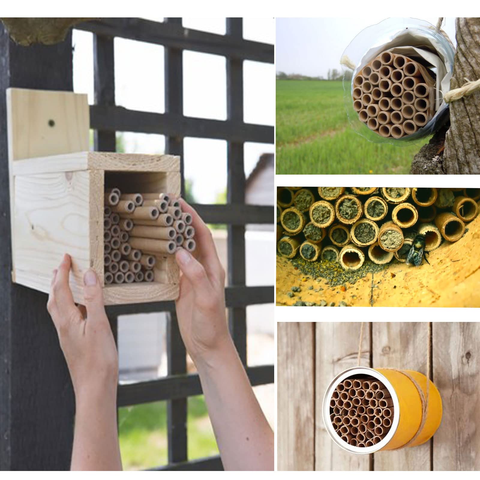 AukBeeFun Tubos de cartón para casa de Abejas Mason de 6 Pulgadas, Tubos de Papel para Abejas Mason (200)