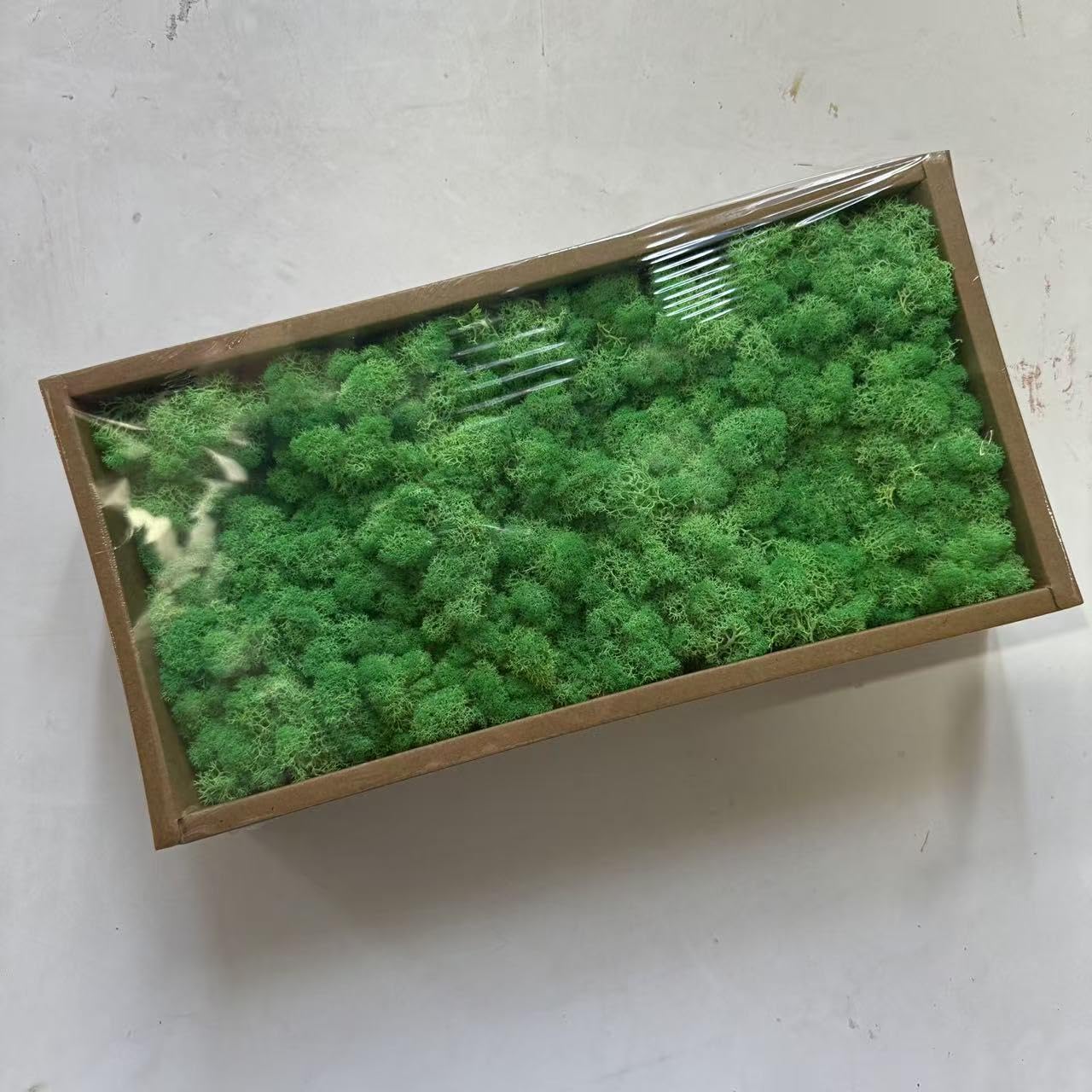 ZenceWell Preserved Reindeer Moss Natural Green Colorful DIY Kit Gardenning Art Wall Decor Florist Decor Easter Table Decor Wedding Decor (1.1lb) (cyan)