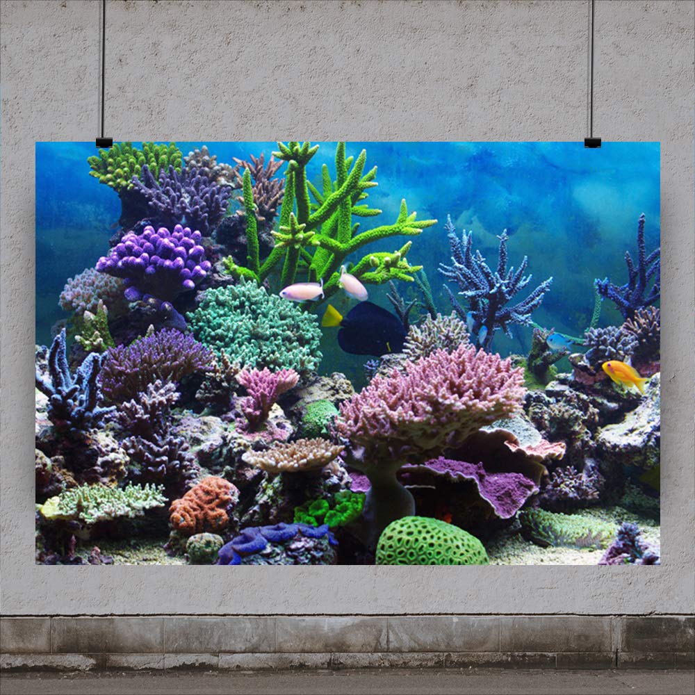 Buy Underwater World Backdrop 5x3ft Little Mermaid Photography