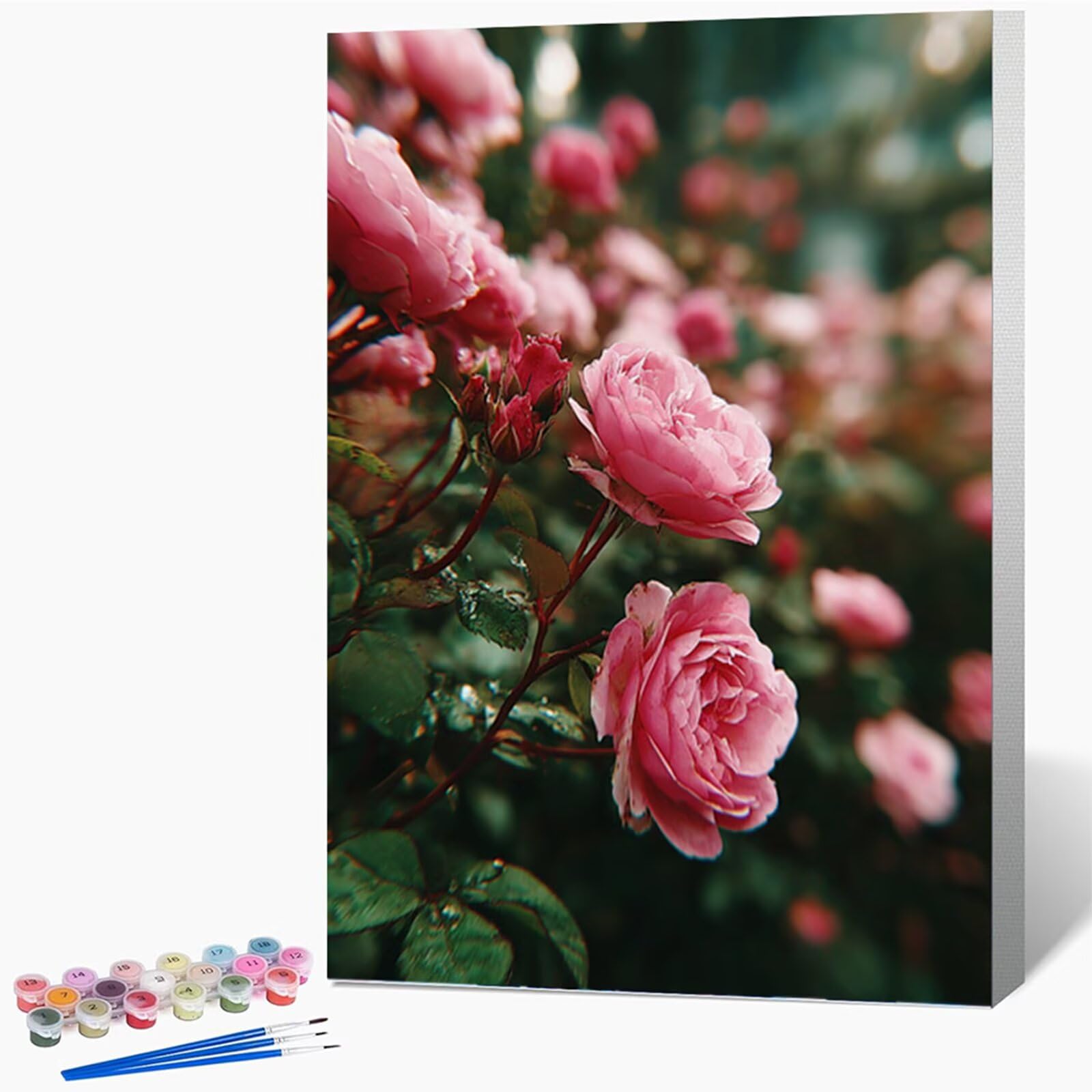 Rosa Dipingere con i Numeri Adulti con Telaio, Flower Dipingere con i Numeri Kit, DIY Disegni da Colorare per Adulti con Pennelli e Vernice Acrilica, Regalo Amica, Decorazioni Casa 50x70cm Y-9533