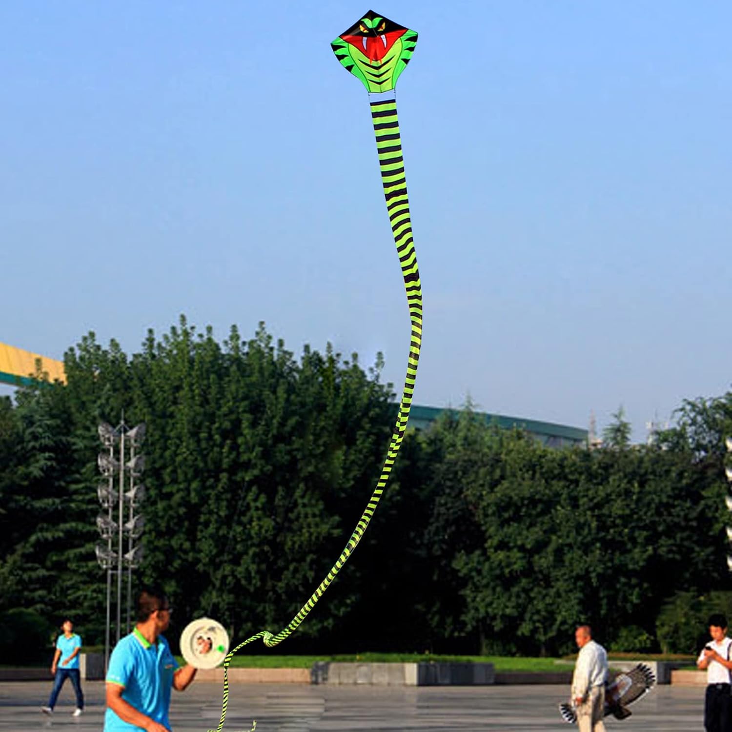HENGDA KITE Large Power Snake Kites with Flying Line Outdoor Fun Sports Kite