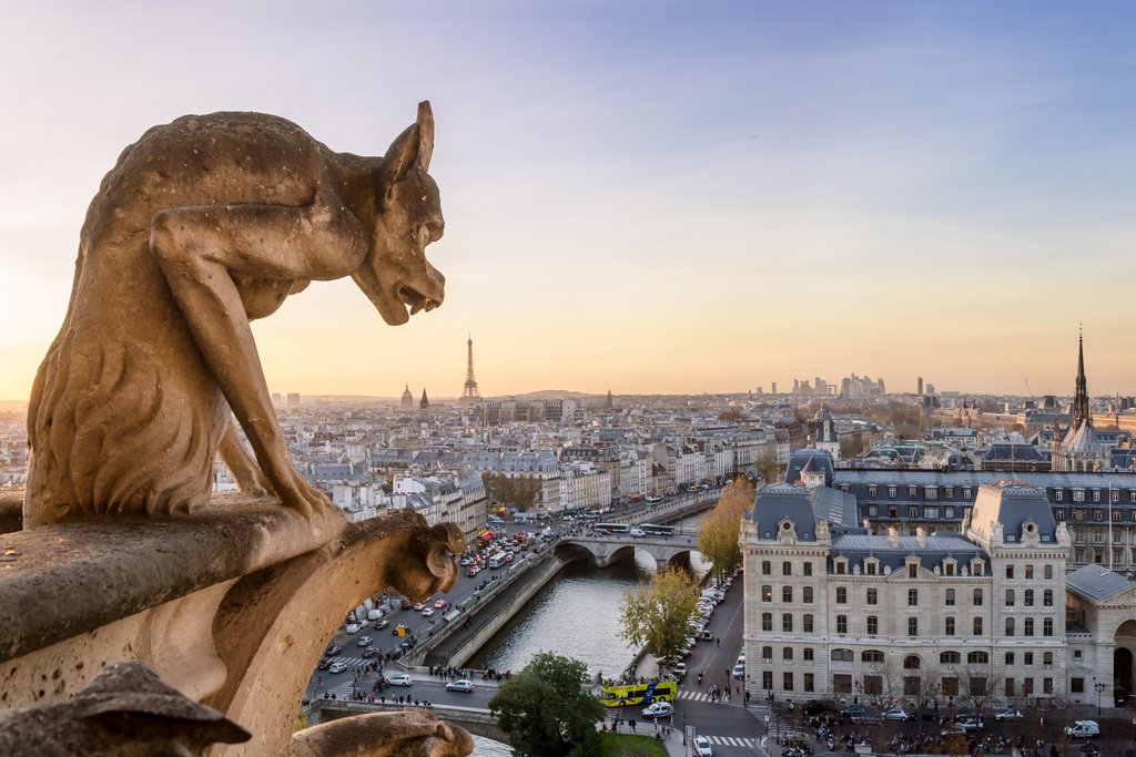 Amazon.com: Notre Dame Cathedral Gargoyle Paris City Skyline