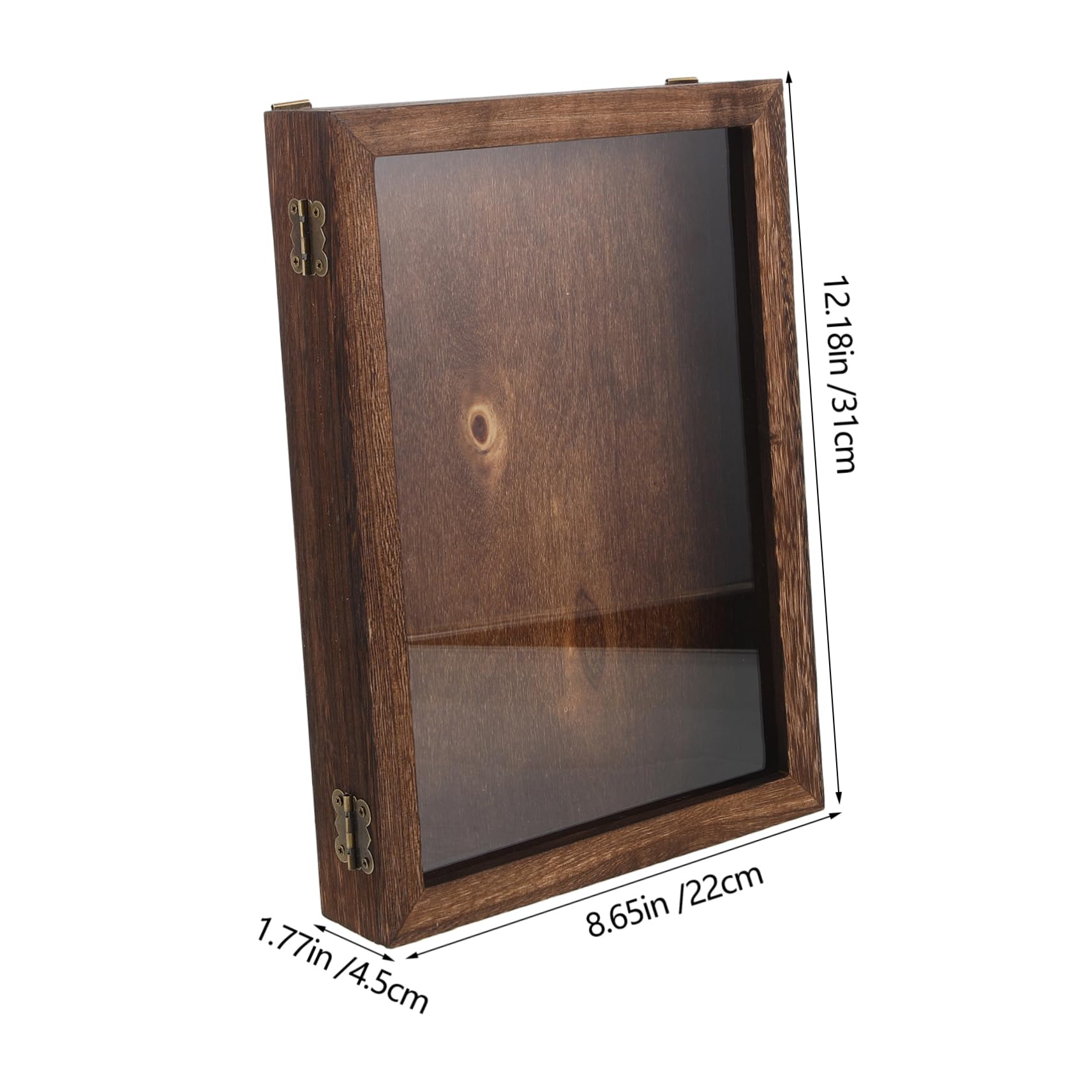 HEALLILY Box Insect Display Box Case Collecting Cabinet Specimen Container Specimen Holder Specimen Display Holder Wood Dark Brown