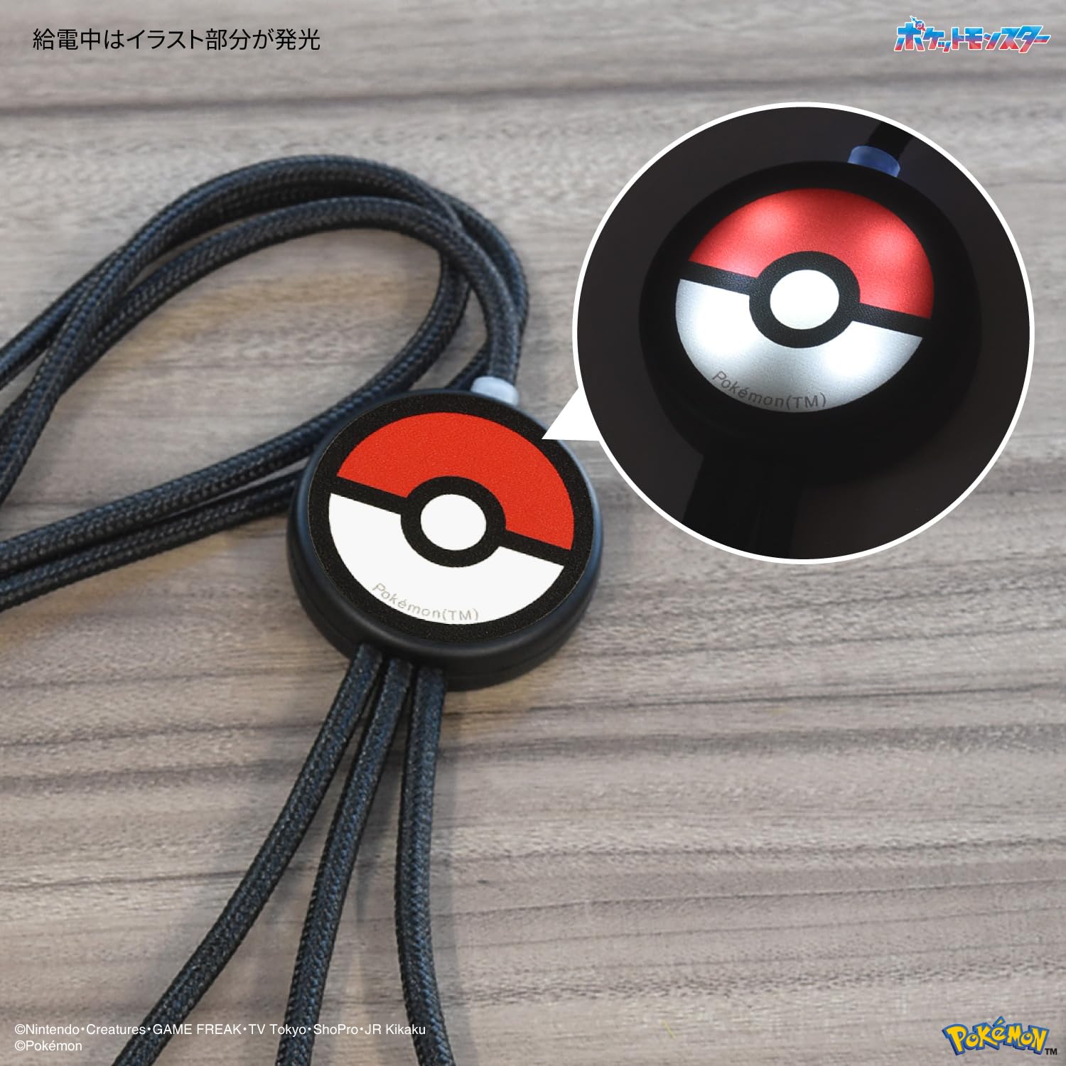 Amazon.co.jp: グルマンディーズ ポケットモンスター フラッシュマルチ
