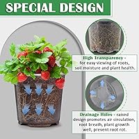 Vista 4 de Paquete de 30 macetas transparentes de vivero de 7/6/5/4/3 pulgadas para plantas, macetas de plástico flexible con agujeros de drenaje, macetas