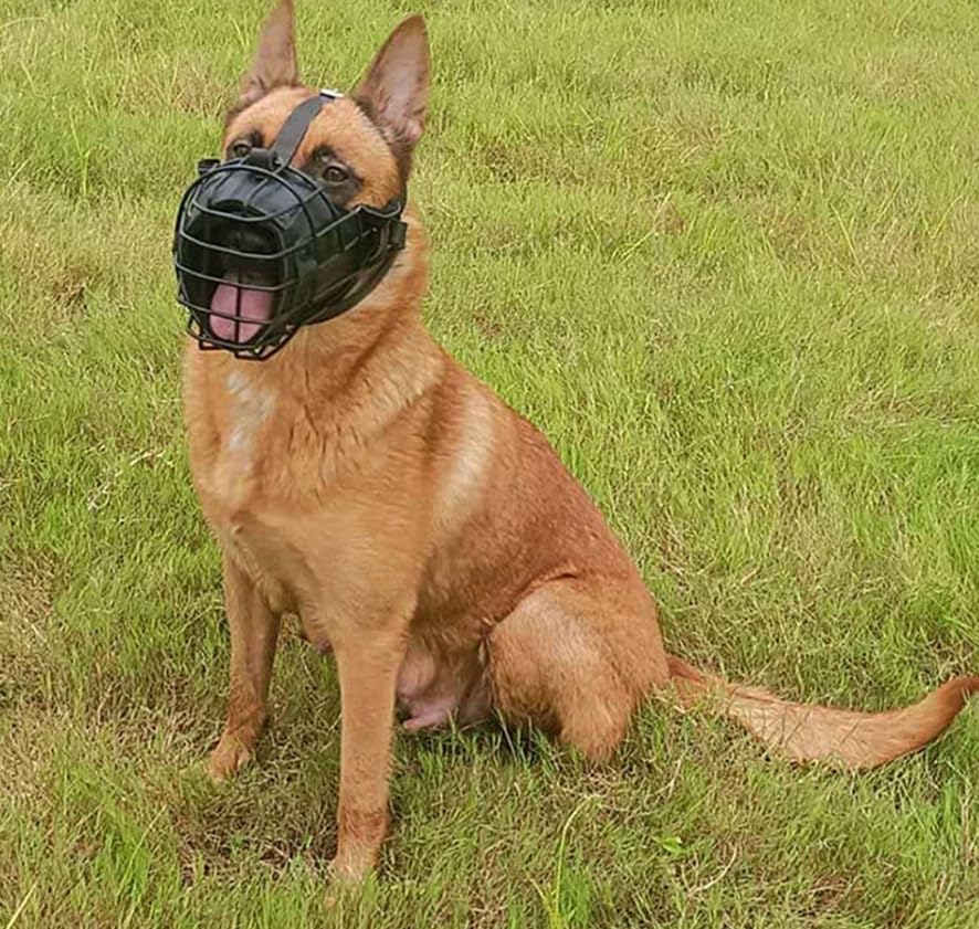 Bozal para Perro, Bozal de Cesta metálica for Rottweiler, Pastor alemán, dóberman, Negro, tamaño pequeño y Grande.(Small/25-37.5kg Horse Dog German Shepherd)