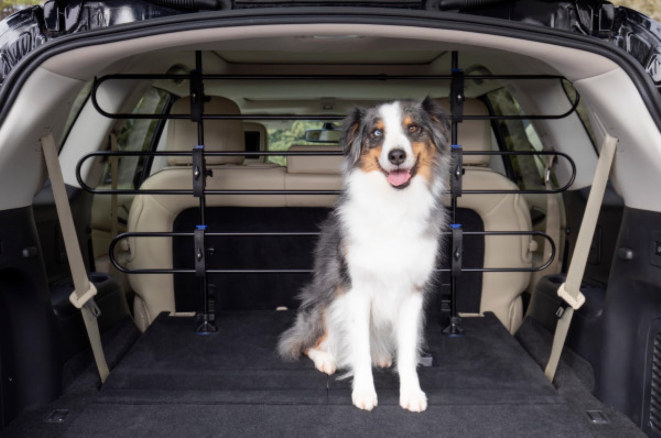 PetSafe Separador Metálico Happy Ride, Diseño Tubular Duradero Y Transparente 4510 g