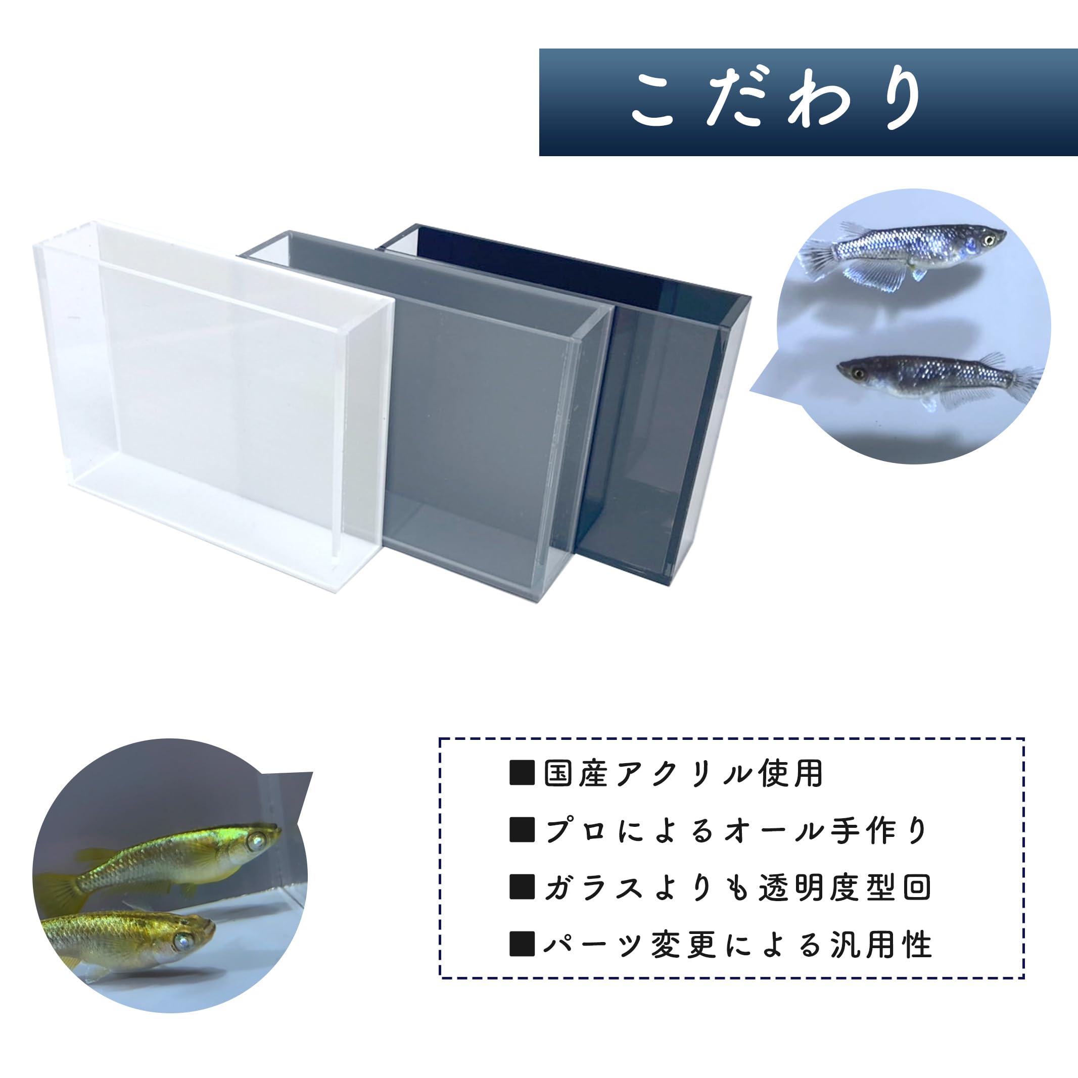 メタライズ25.5 箱あり メタライズ25.5 箱あり 2025年最新