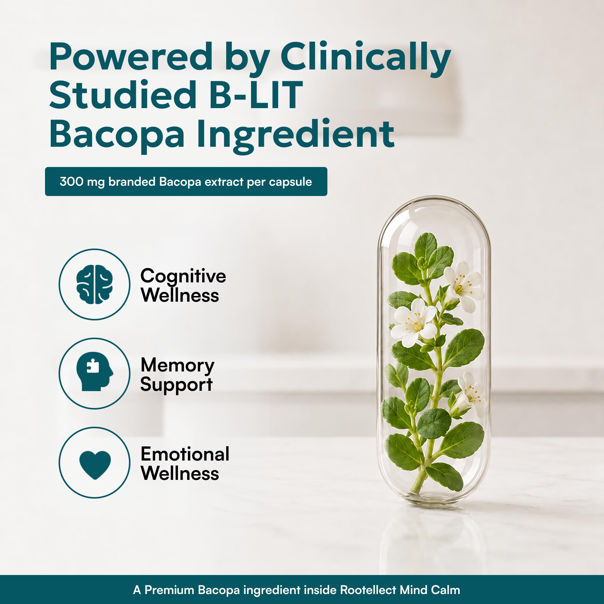 Mind Calm Supplement with B-LIT® Bacopa (Brahmi) 300 mg, L-Theanine & Jatamansi for Mental Clarity, Focus, Memory & Stress Relief | Brain & Focus | Non-Melatonin Sleep Supplement | 30 Veg Capsules — Amazon image 4