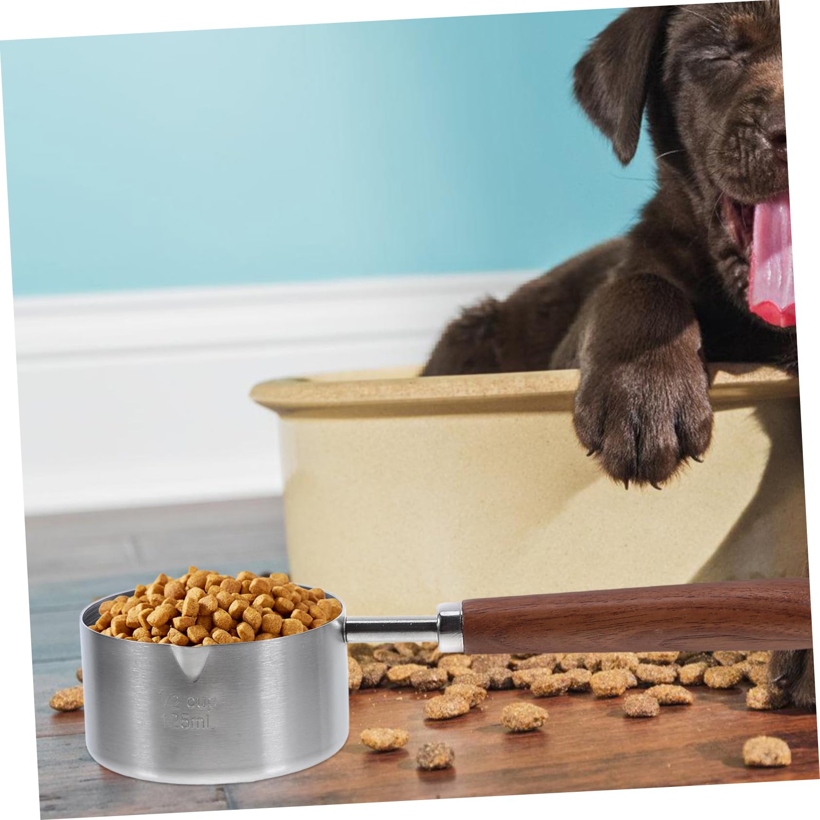 YARNOW 4 Pièces Cuillère À Nourriture Pour Tasse À Mesurer Cuillère À Nourriture Pour Chat À Pour Portable Outil De Mesure De La