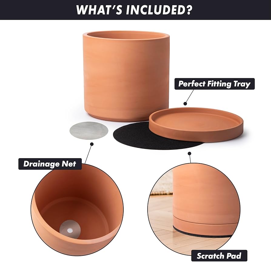 大鉢1 mpg-3014.jpg