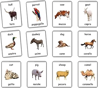 Italian English Bilingual Flash Cards | Laminated Flash Cards | Montessori Cards | Choose Your Set (Farm Animals)