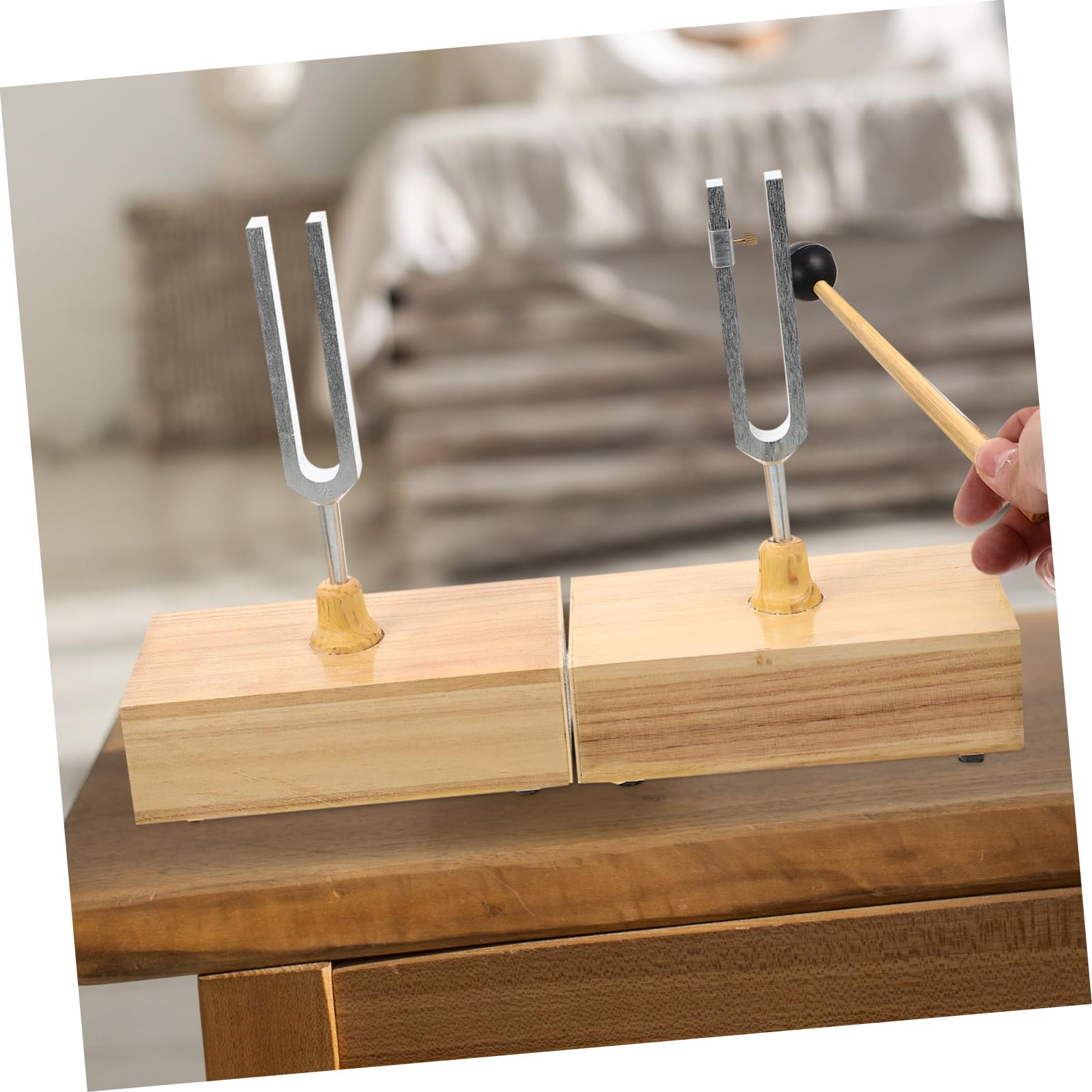 Set di Diapason da 440hz per Esperimenti Fisici, 1 Pezzo | Base in Legno, Martello Incluso, Metallo con Timbro Chiaro e Posizionamento Stabile