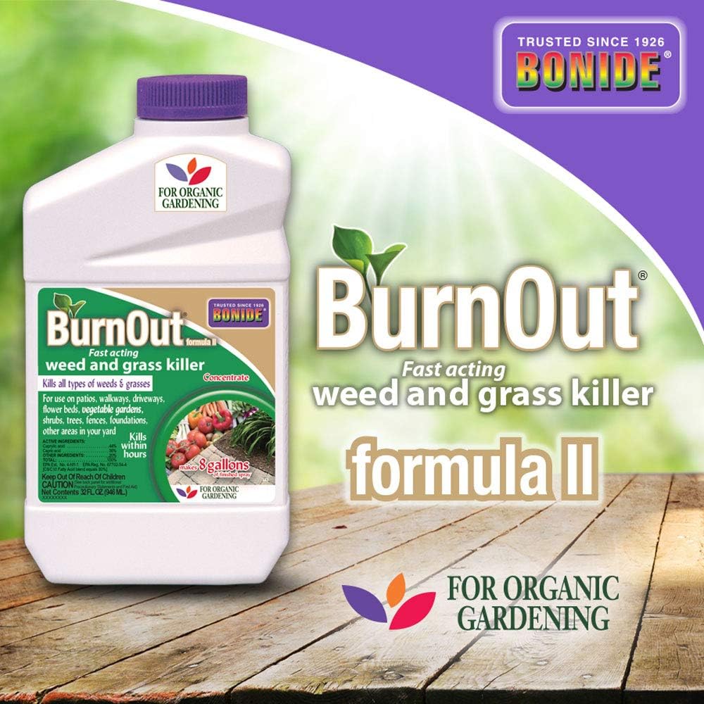 Bonide 7468 Burnout Weed Killer, White Patio, Lawn & Garden