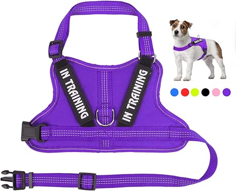 therapy dog vest amazon